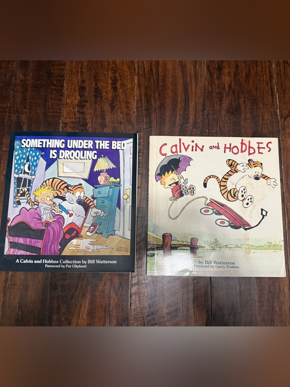 Calvin and Hobbes Comic Books (2)